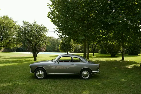 Alfa Romeo Giulietta Sprint - Profilo nel parco