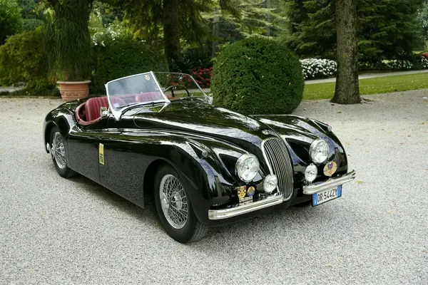 Jaguar XK 120 SE Roadster - Tre quarti anteriore nel parco