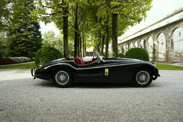 Jaguar XK 120 SE Roadster - Profilo nel viale alberato