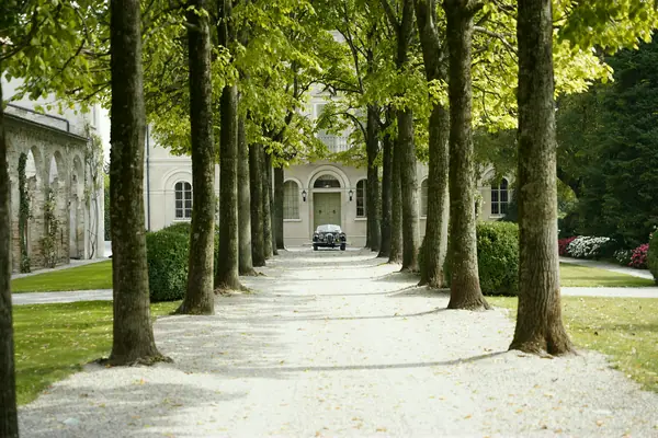 Jaguar XK 120 SE Roadster - Nel viale alberato
