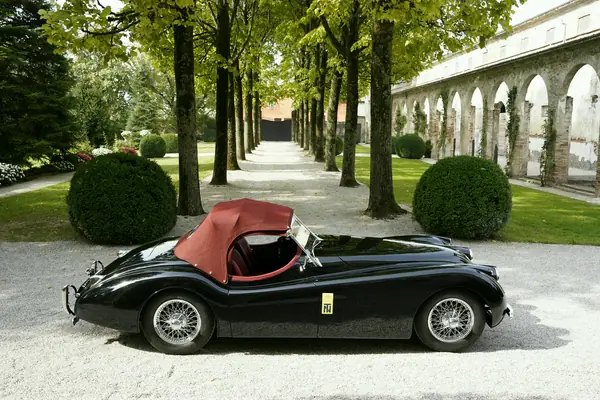 Jaguar XK 120 SE Roadster - Profilo con capote