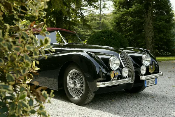 Jaguar XK 120 SE Roadster - Tre quarti anteriore tra il verde