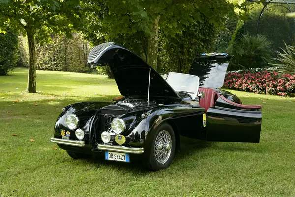 Jaguar XK 120 SE Roadster - Cofano aperto sul prato