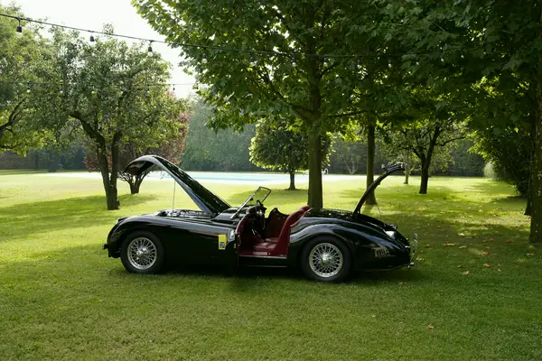 Jaguar XK 120 SE Roadster - Profilo con cofani aperti