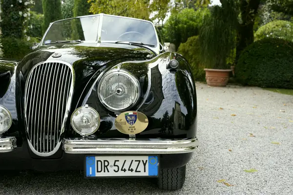 Jaguar XK 120 SE Roadster - Calandra e fari