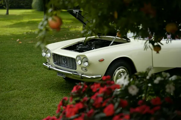 Lancia Flaminia Convertibile Touring - Tra i fiori